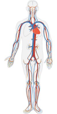 Physiologic uptake meaning