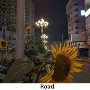 Road Light